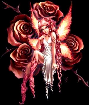 m� c de toute beaut�